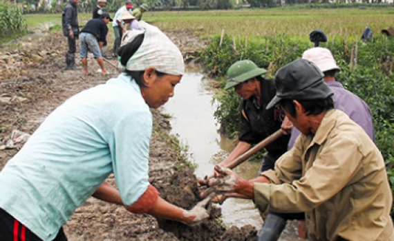 Phấn đấu ho&agrave;n th&agrave;nh dồn điền đổi thửa trong năm 2013

